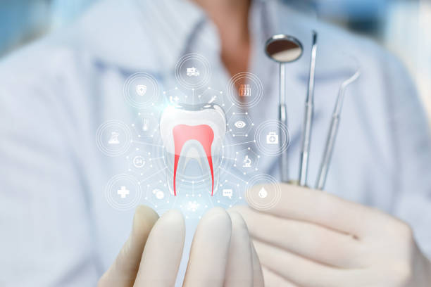 Best Veneers and Lumineers  in Pembroke Park, FL